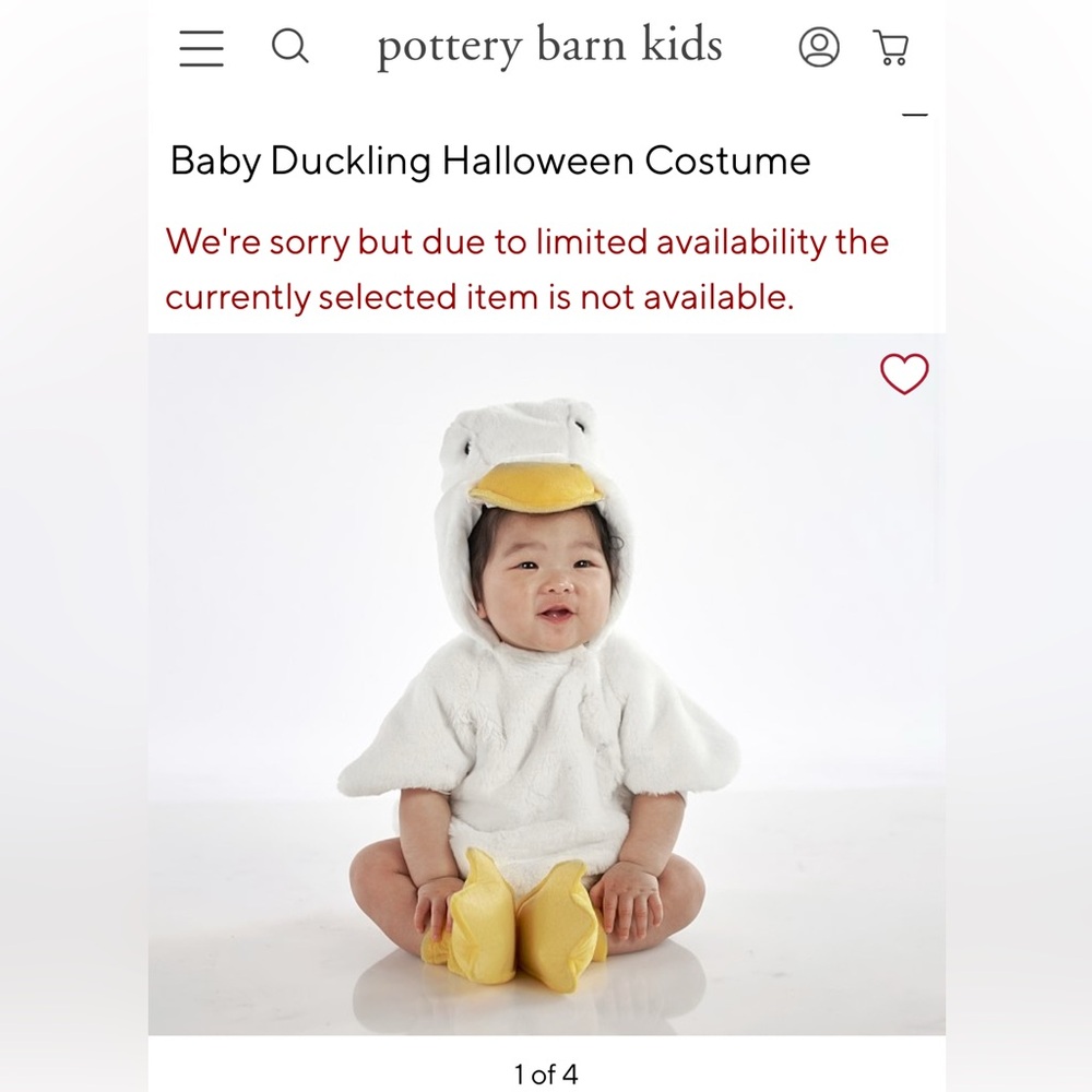 Pottery Barn Halloween Costume 0-6 Months